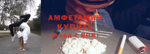 стаф Ельня
