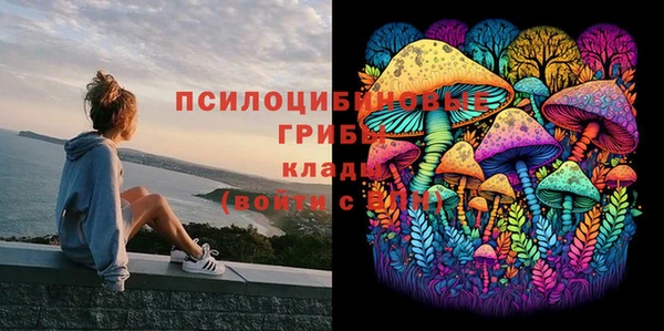 СК Горно-Алтайск