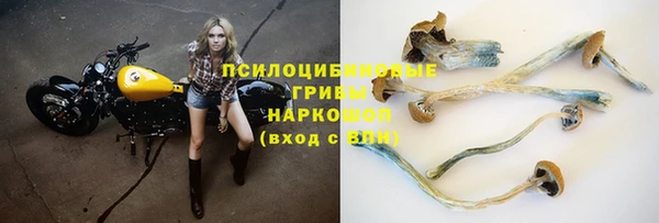 бутират Горняк
