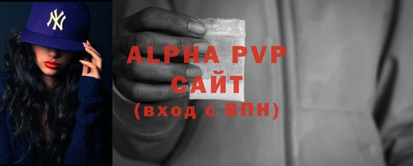 стаф Ельня
