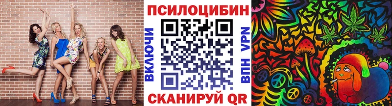 Галлюциногенные грибы Psilocybe  OMG как войти  Давлеканово 